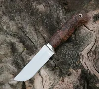 Нож Пегас из стали VG-10 купить на сайте koval-knife.shop